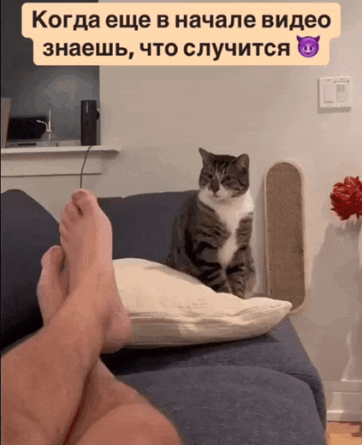 Просто гифки, всякие и&nbsp;разные