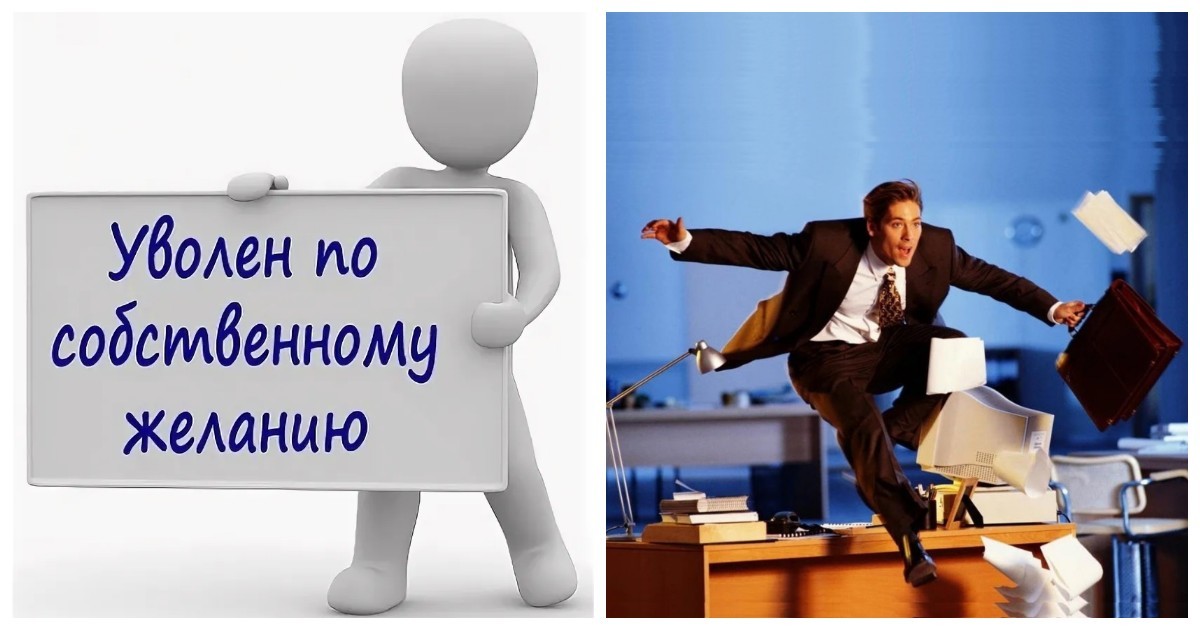 Утром устроился — вечером уволился: пользователи попытались понять, что стоит за мгновенным уходом сотрудника