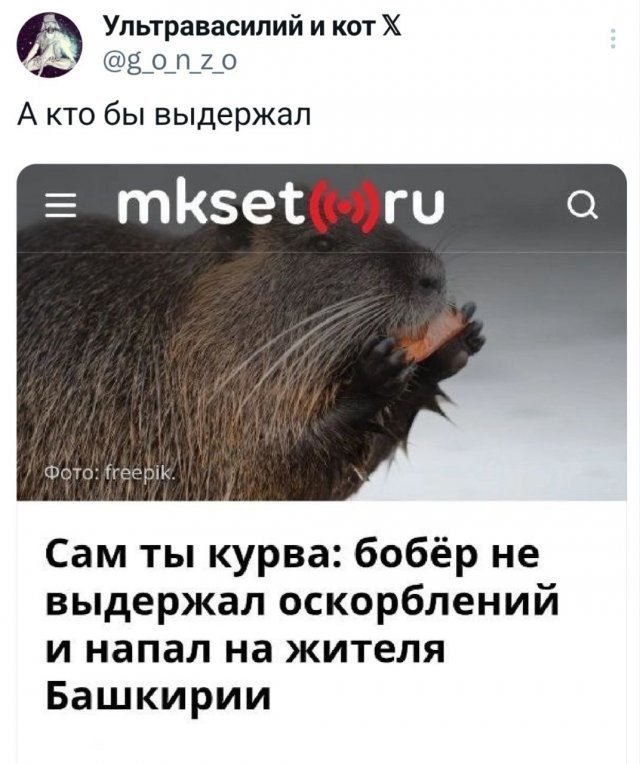 Не ищите здесь смысл. Здесь в основном маразм