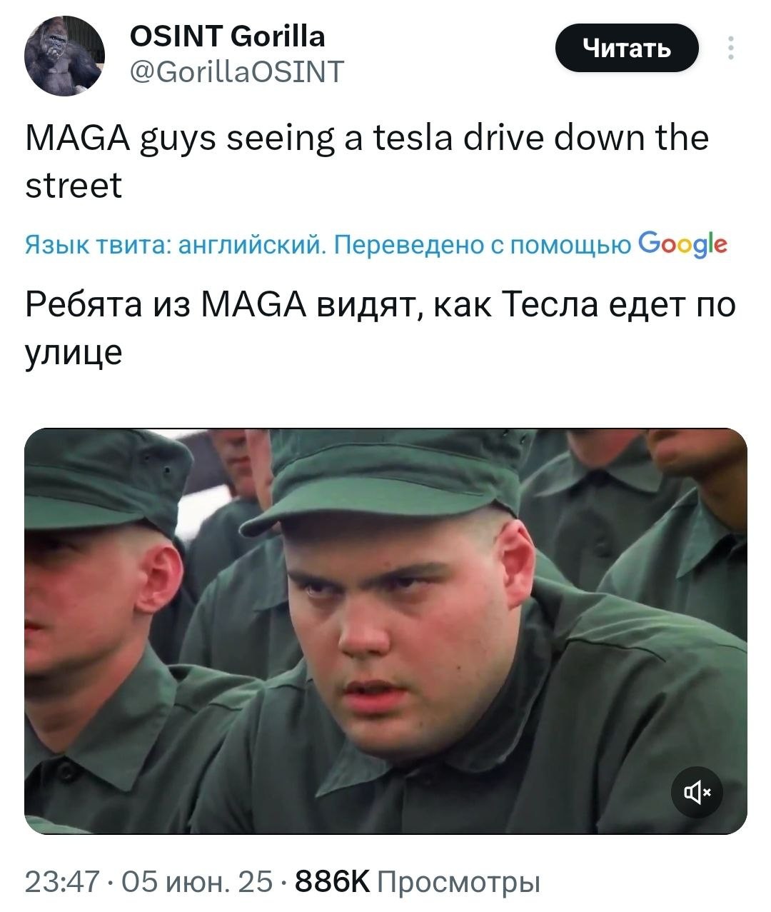 С Трампом лучше не связываться, его сторонники - лютые ребята