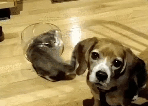 Просто гифки, всякие и&nbsp;разные