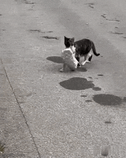 Просто гифки, всякие и&nbsp;разные