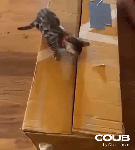 Просто гифки, всякие и&nbsp;разные