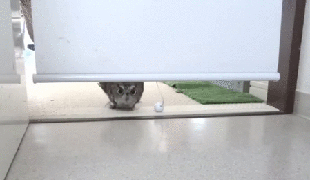 Просто гифки, всякие и&nbsp;разные