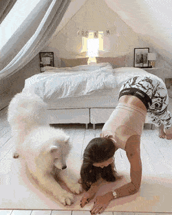 Просто гифки, всякие и&nbsp;разные