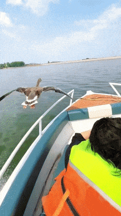 Просто гифки, всякие и&nbsp;разные