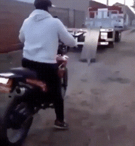 Просто гифки, всякие и&nbsp;разные