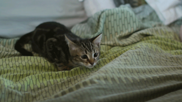 Просто гифки, всякие и&nbsp;разные