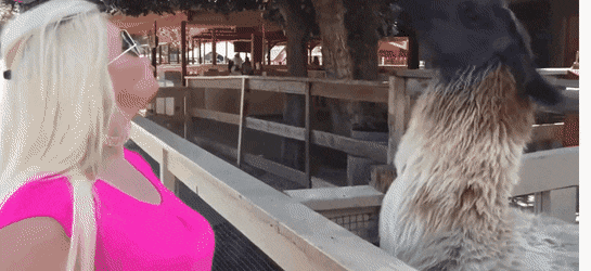 Просто гифки, всякие и&nbsp;разные