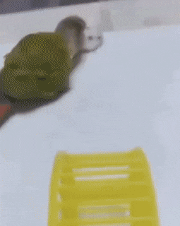 Просто гифки, всякие и&nbsp;разные