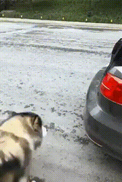 Просто гифки, всякие и&nbsp;разные