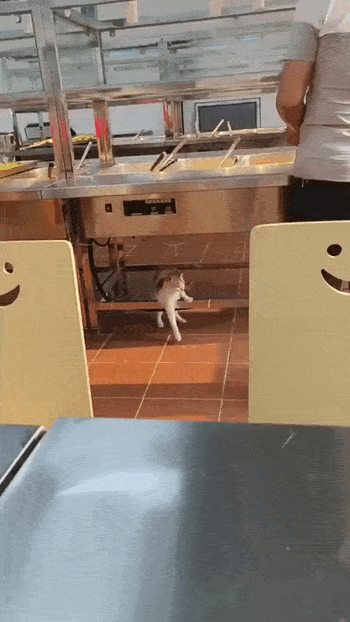 Просто гифки, всякие и&nbsp;разные