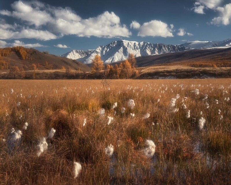 Пейзажи