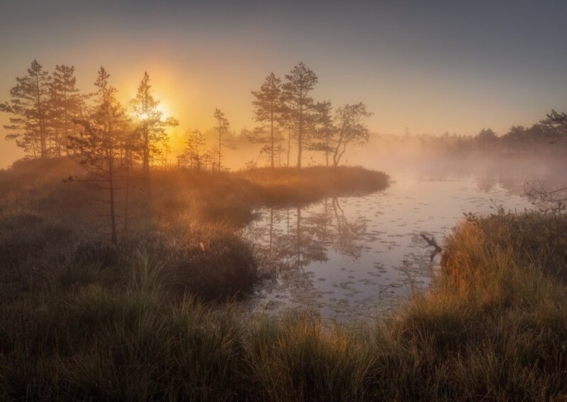 Пейзажи