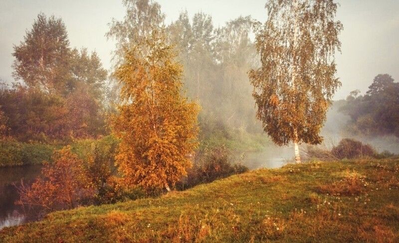 Природа Беларуси