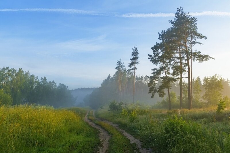 Природа Беларуси