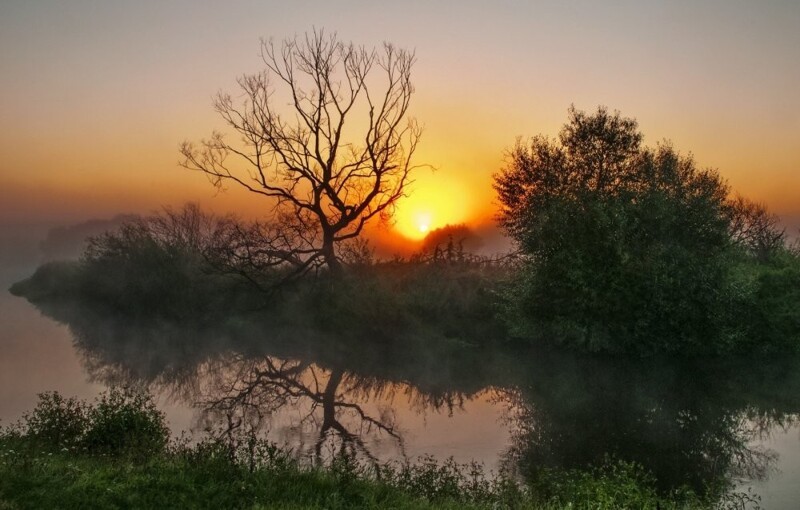Природа Беларуси