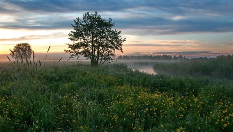 Природа Беларуси