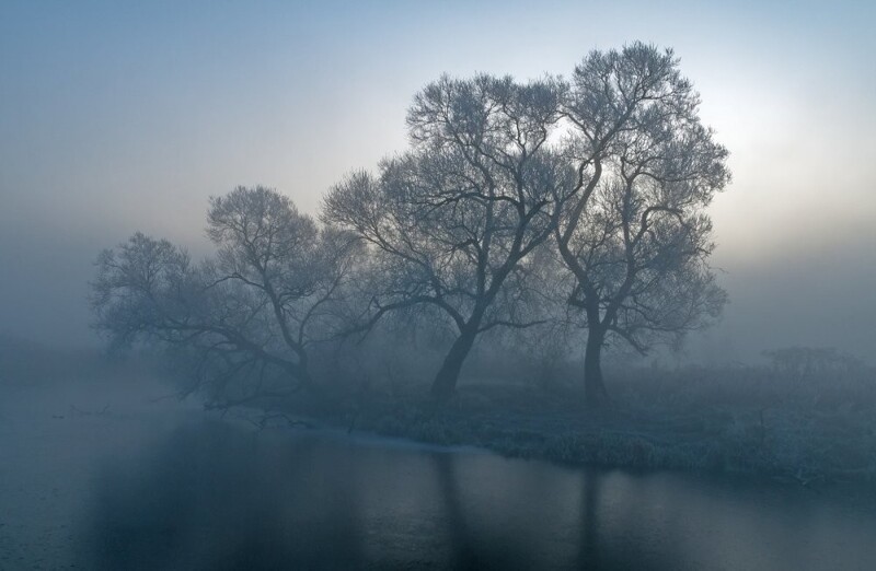 Природа Беларуси
