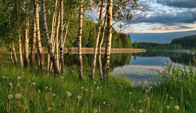 Природа Беларуси