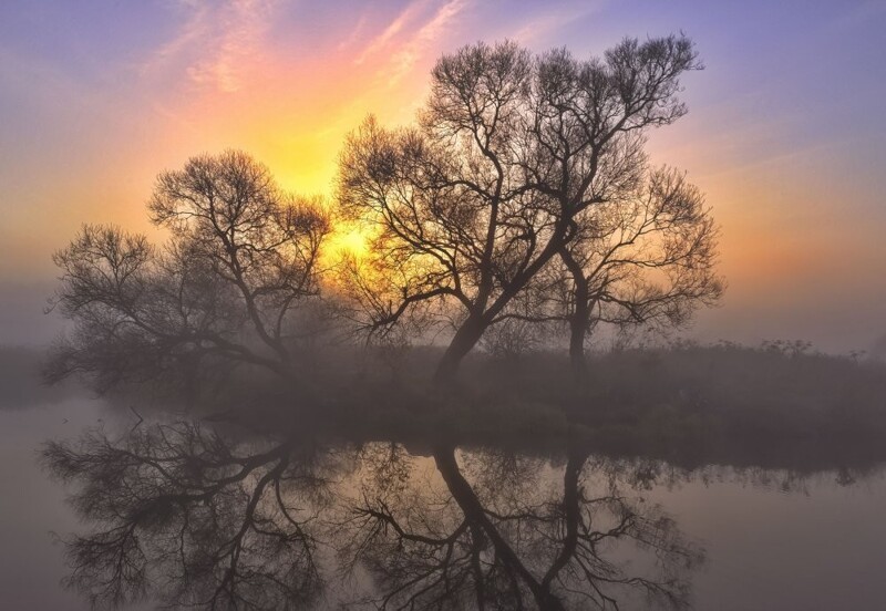 Природа Беларуси