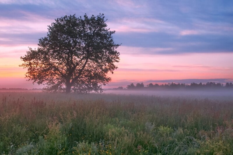 Природа Беларуси