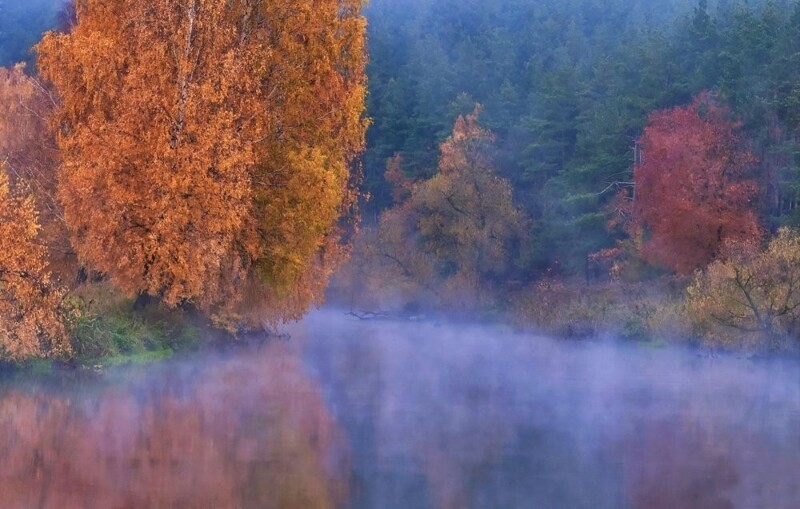Природа Беларуси
