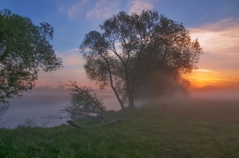 Природа Беларуси