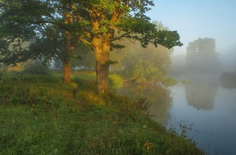 Природа Беларуси