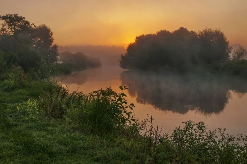 Природа Беларуси