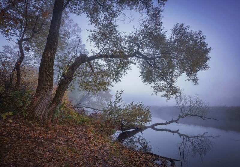 Природа Беларуси