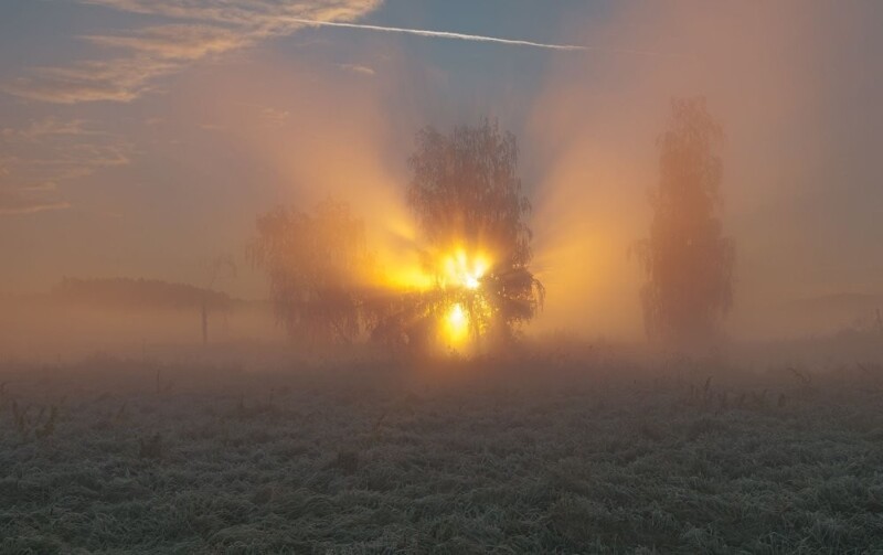 Природа Беларуси