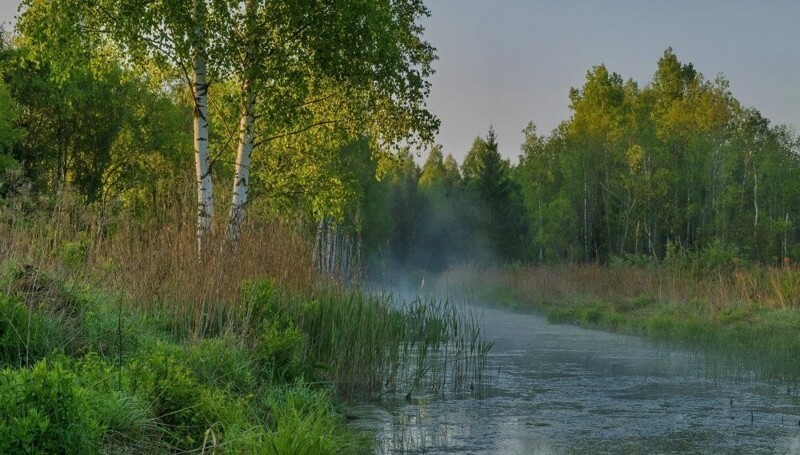Природа Беларуси