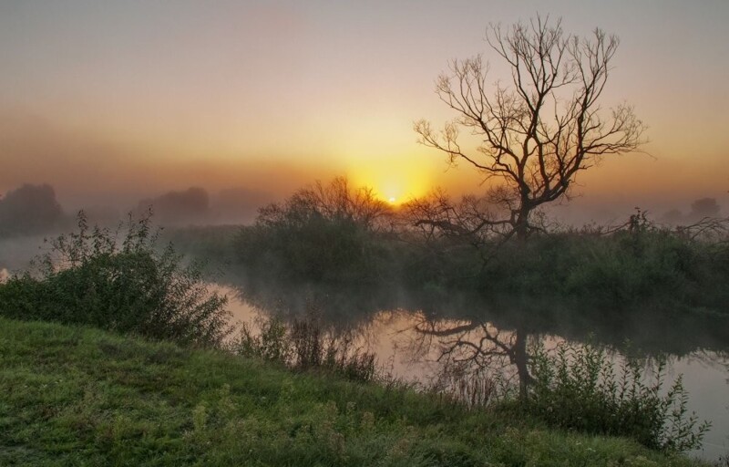 Природа Беларуси