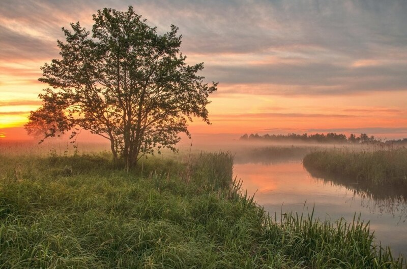 Природа Беларуси