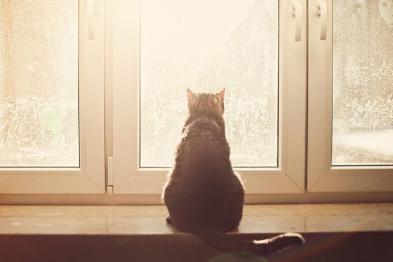 4. Мой свет