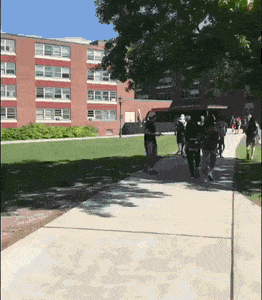 Просто гифки, всякие и&nbsp;разные