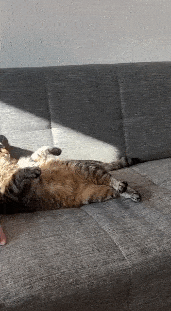 Просто гифки, всякие и&nbsp;разные