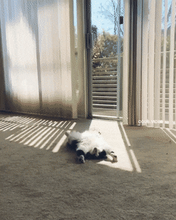 Просто гифки, всякие и&nbsp;разные