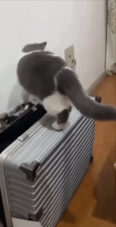 Просто гифки, всякие и&nbsp;разные