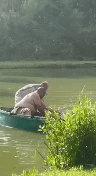 Просто гифки, всякие и&nbsp;разные