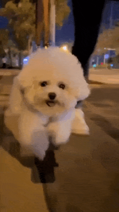 Просто гифки, всякие и&nbsp;разные