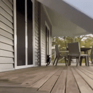 Просто гифки, всякие и&nbsp;разные