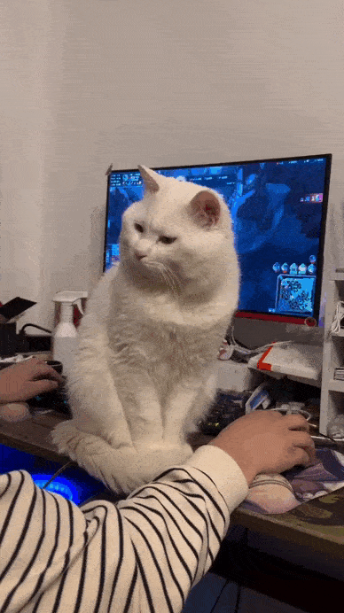 Просто гифки, всякие и&nbsp;разные