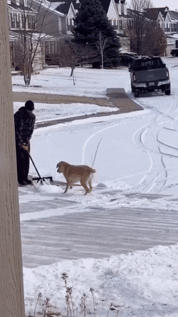 Просто гифки, всякие и&nbsp;разные
