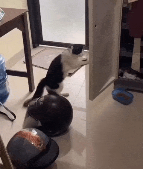 Просто гифки, всякие и&nbsp;разные