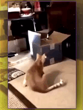 Просто гифки, всякие и&nbsp;разные