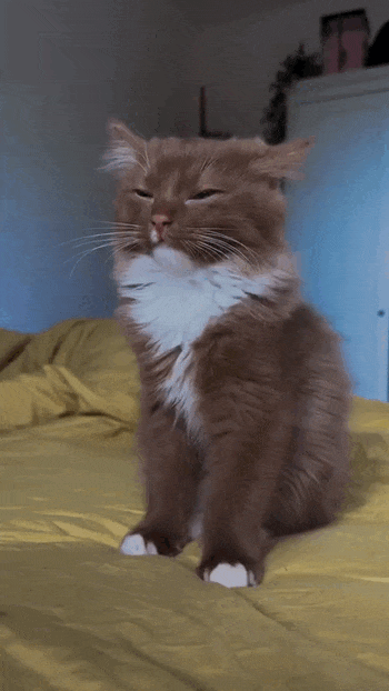 Просто гифки, всякие и&nbsp;разные