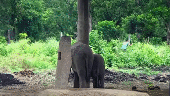 Просто гифки, всякие и&nbsp;разные
