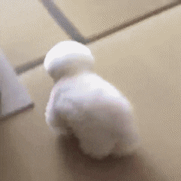 Просто гифки, всякие и&nbsp;разные